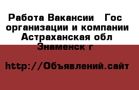 Работа Вакансии - Гос. организации и компании. Астраханская обл.,Знаменск г.